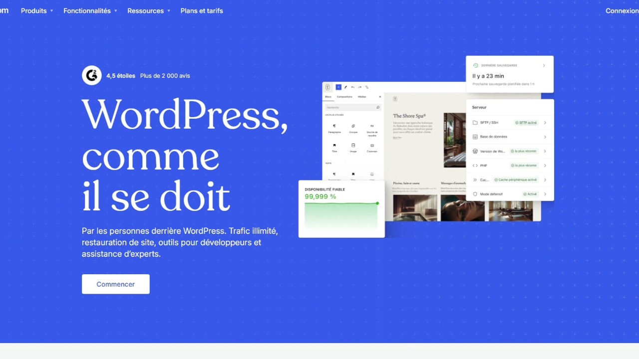 Création de Site WordPress : Comment l’Agence Telo le Transforme en Générateur de Leads SEO
