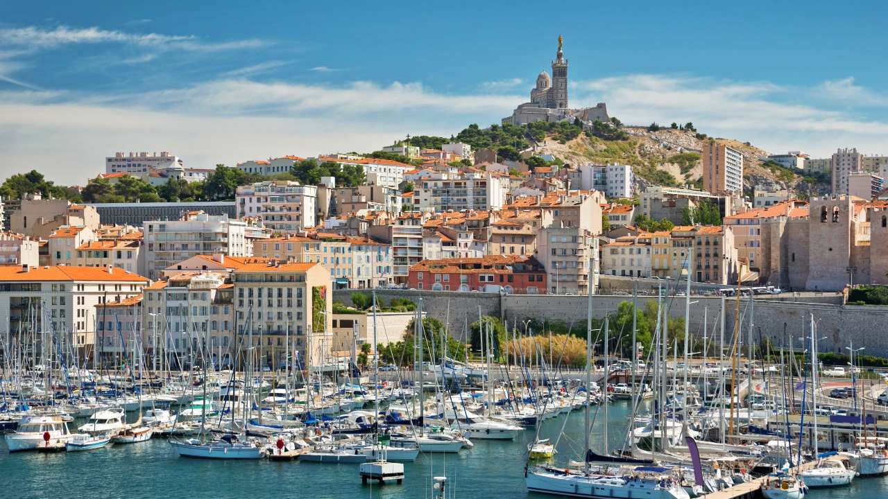Marseille : Ne subissez plus le web, dominez votre secteur avec l’Agence Telo